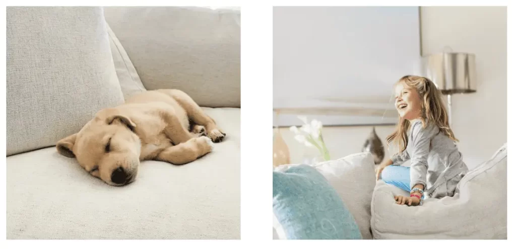 Dogs & Kids on durable stain-resistant Crypton fabric